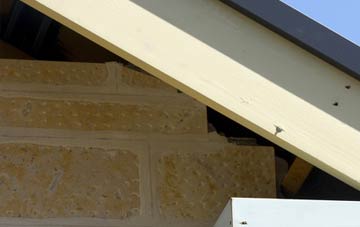 soffit repair South Park